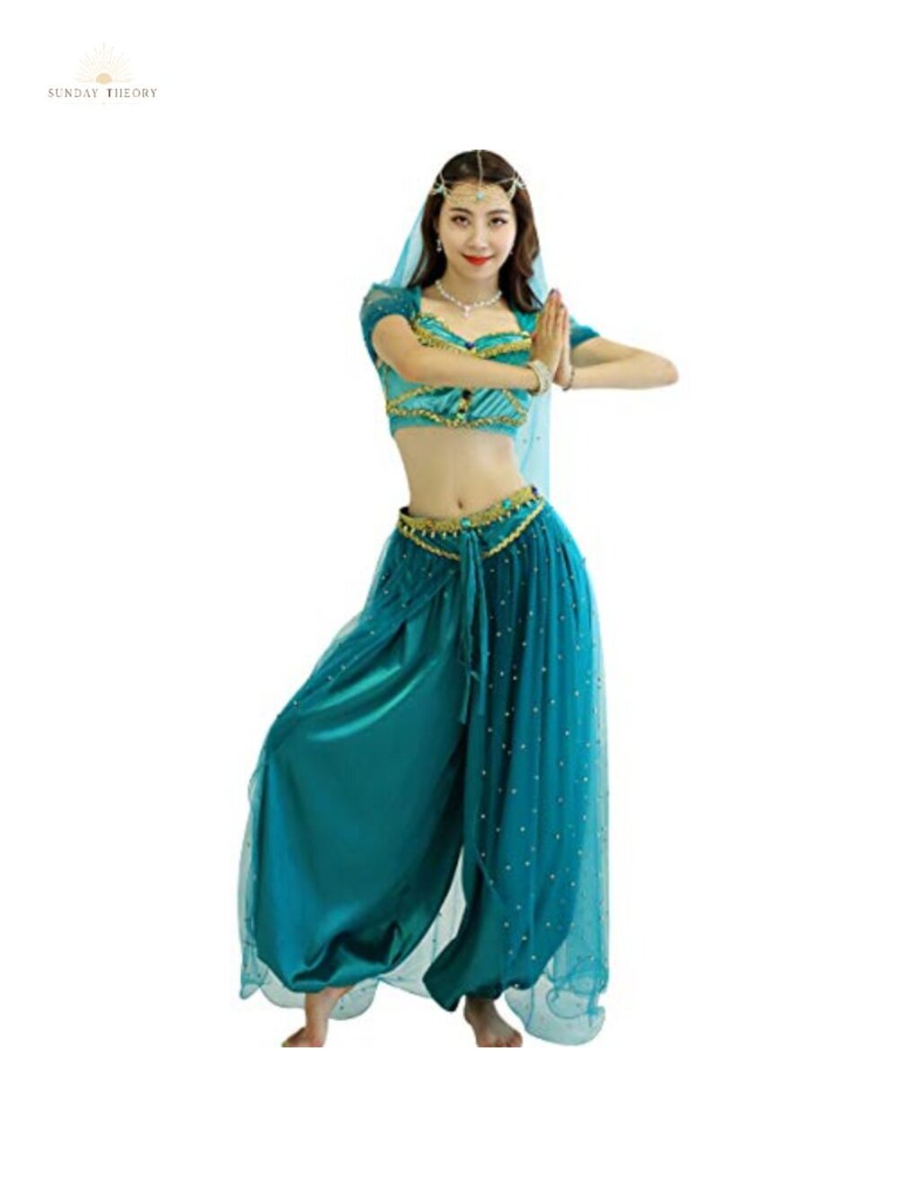 Aladdin Jasmine Princess Costume 4 Piece Velvet Satin Belly Dance Cosplay